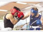 Erfolgreiche Box-Brüder