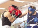 Boxen: Wildsteiger Brüder holen Meistertitel