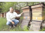 „Für die Bienen wird’s immer enger“