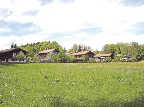Letzter Fr&uuml;hling f&uuml;r die gr&uuml;ne Wiese? Kommen nicht doch noch Klagen gegen den Bebauungsplan, d&uuml;rfte die Bebauung am S&uuml;dostrand von Wall noch heuer starten. Foto: al