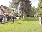 Spielen auf der Wiese