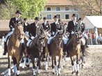 Vielseitige Elite am Start