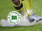 Palzinger Tiefschlaf in den ersten 12 Minuten führt zur 2:3 Niederlage gegen Altenerding.