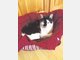Fina sucht ein neues Zuhause bei netten Tierfreunden. &emsp;kn