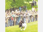 2000 Fans bejubeln die rasenden Zamperl