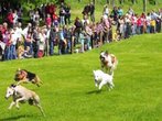 Hunderennen in Großköchlham