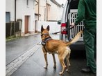 Fall Peggy: Knochenteile stammen nicht von verschwundenem Mädchen