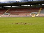 Die neu angelegte Rasenfläche des Grünwalder Stadions in Giesing wurde mutwillig beschädigt