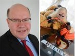 Umweltminister Altmaier besucht Justin Biebers Äffchen