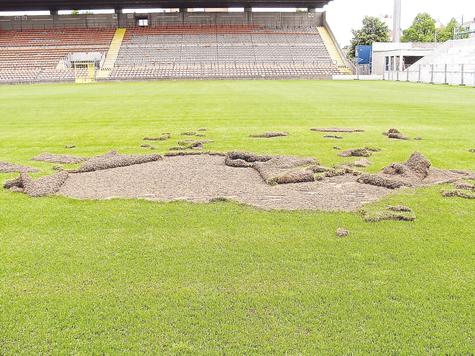 Auf sieben Quadratmetern rissen Unbekannte den neu verlegten Rasen aus. foto: sportamt