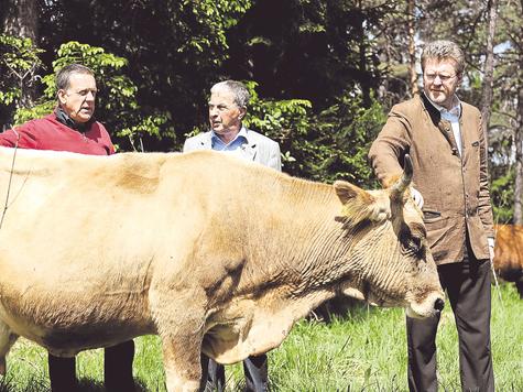 Schrieb seine Doktorarbeit &uuml;ber Rinder: Dr. Marcel Huber (re.), bayerischer Umweltminister, in der Pupplinger Au.