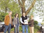 Platane sticht Parkplätze aus