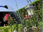 Skurriler Einbruch in Pasing: Täter gießt Blumen