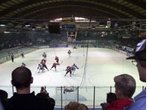 Schwenninger Wild Wings wieder in der DEL