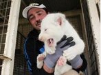 Circus Krone: Wieder Löwen-Babys