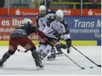 Streit um zweite Liga im deutschen Eishockey: DEB droht mit "wilder Liga"