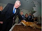 Seehofer eröffnet „Haus der Berge“ im Nationalpark Berchtesgaden