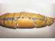 Giftk&ouml;der wie diese tauchten immer wieder in T&ouml;lz auf. Die am Freitag gefundene Wurst war mit Blaukorn versetzt.