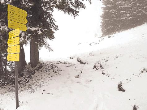 Wie im Winter: So sah es am Freitag auf dem Brauneck aus. Kein Wunder, das keiner wandern will. Foto: Walther