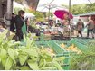 Hilferuf der Standlbetreiber