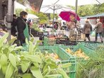 Hilferuf der Standlbetreiber