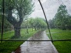 Der Regen bleibt, wird aber wärmer