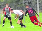 Gutsmiedl: "Werden Alles tun, um die liga zu halten"