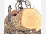 Händler sauer: Förderung auf dem Holzweg