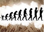 Die Evolution vom Affen zum Menschen hat ihre Spuren hinterlassen