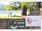 Gesundheitsamt rät vom Baden ab
