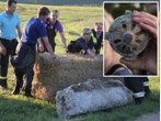 Hohenschäftlarn: Granate enpuppt sich als Sprühkopf von Odelfass