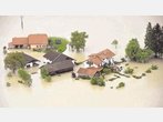 Landwirte rufen zu Solidarität auf
