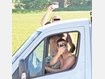 Gaffer behindern Rettungsarbeiten
