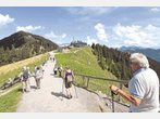Kloake auf dem Wallberg?