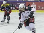Rosenheim: Starbulls drohen dem DEB mit einer Klage