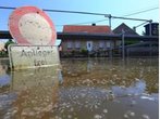 Hochwasser: Schwere Folgen in Elbregion