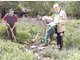 K&uuml;mmern sich um den Garmischer Pfarrgarten: (v. l.) Otto Schilcher, G&uuml;nther Hensel und Peter Wirzberger. foto: sch&auml;fer