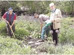 Neues Leben für Karolingischen Garten
