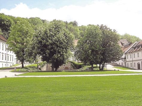 Das Ende einer langen Suche: Vor dem Museumskeller unter Kastanienb&auml;umen wird die Stahlstele &bdquo;Intra&ldquo; k&uuml;nftig stehen. Dort ist es so leise, dass man das Pl&auml;tschern aus dem verborgenen Brunnen h&ouml;ren kann. foto: archiv